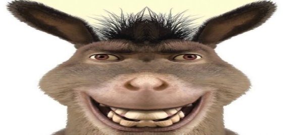 Шрек с лицом осла