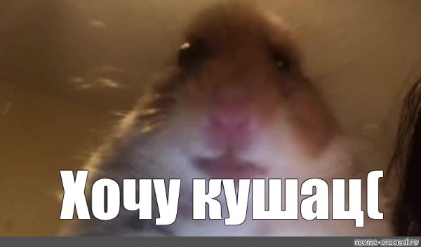 Хомяк Мем
