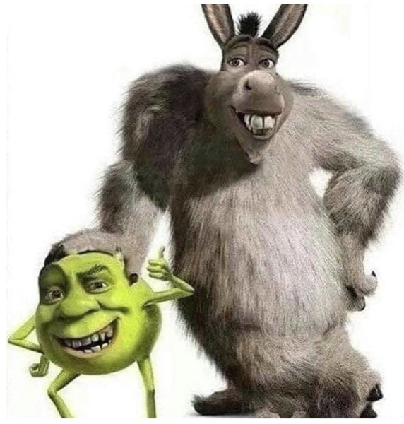 Салливан и Майк Donkey Shrek