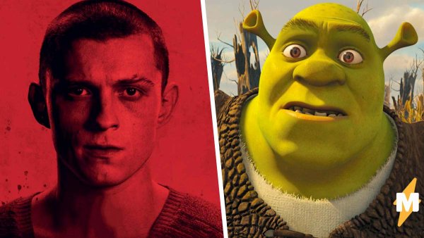 Шрек смешные фото