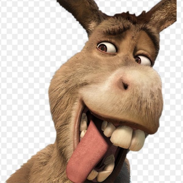 Shrek осел