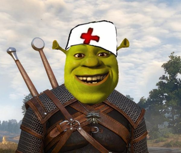 Шрек Ведьмак