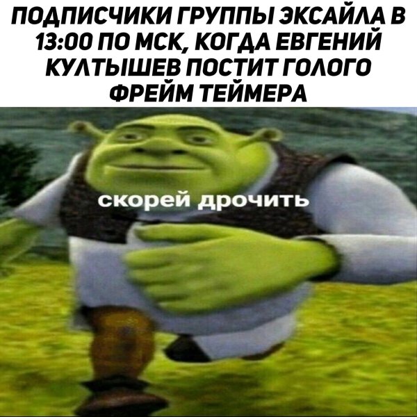 Мемы с Шреком с надписями