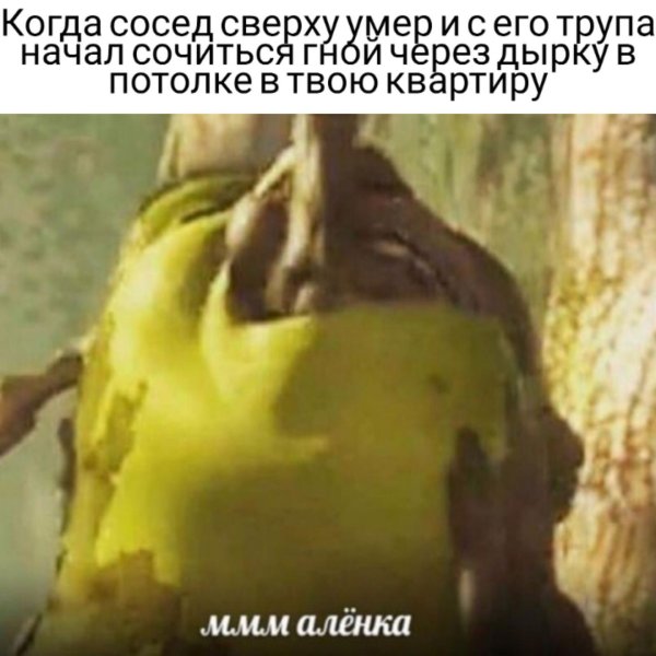 Шрек Аленка