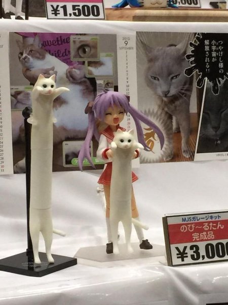 Длинный кот