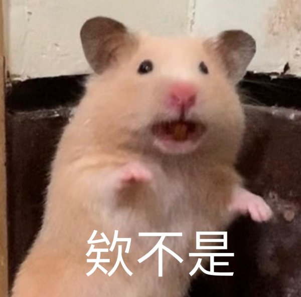 Орущий хомяк