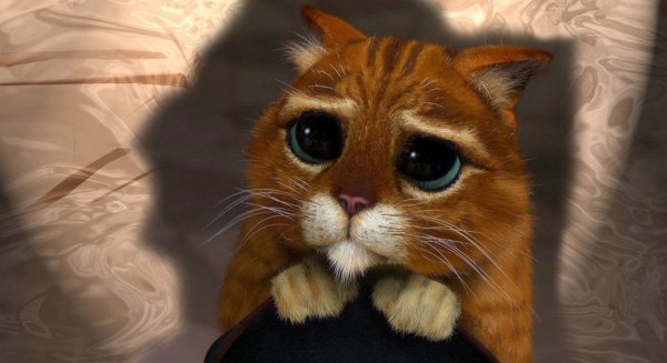 Кот из мультика Шрек