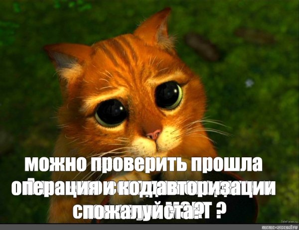 Кот из Шрека с большими глазами фото