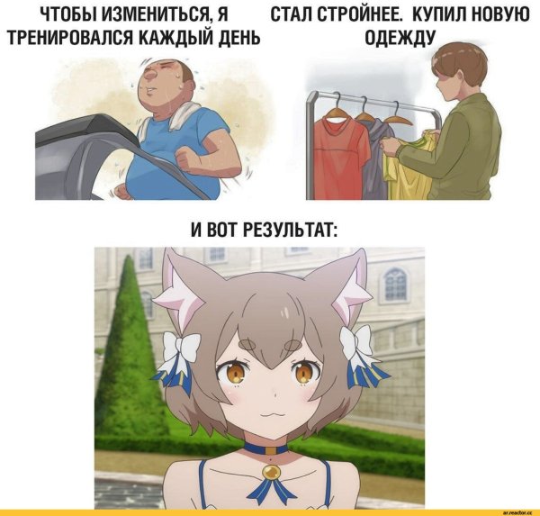 Кошкодевочка мемы