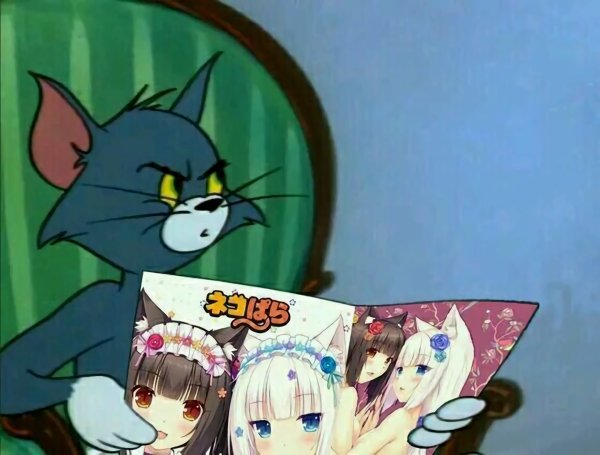 Кот том с газетой