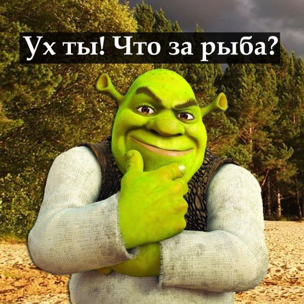 Шрек Мем туалет