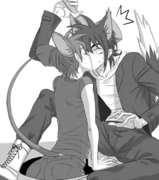 Том и Джерри шип 18 аниме