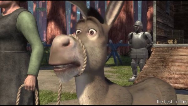 Осел Шрек 2