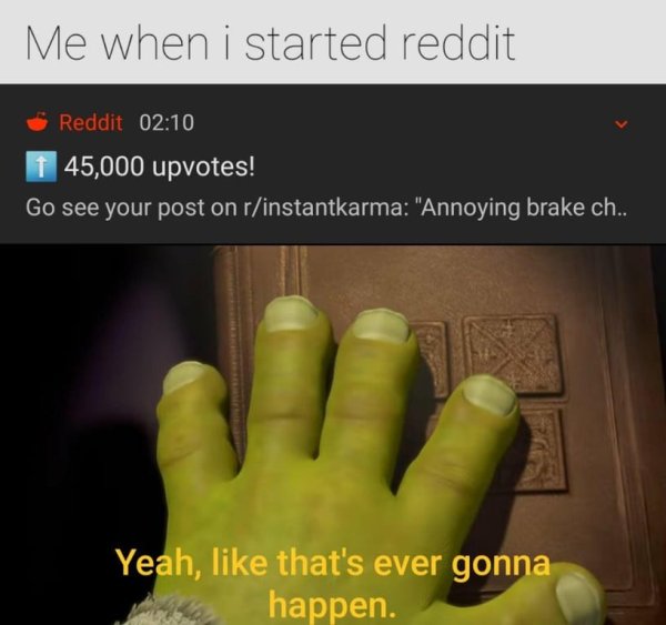 Шрек бредятина