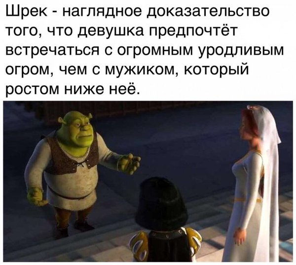 Смешные фразы из Шрека