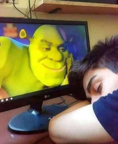 Спокойной ночи Шрек