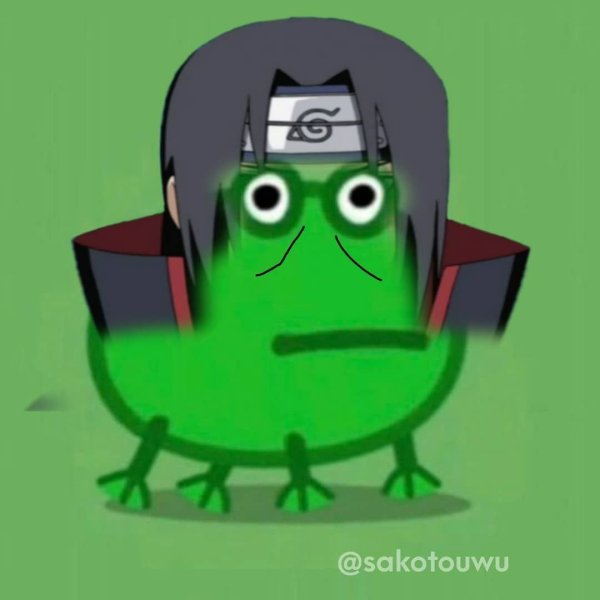 Лягушка Саске