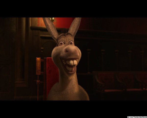 Вы уже приехали