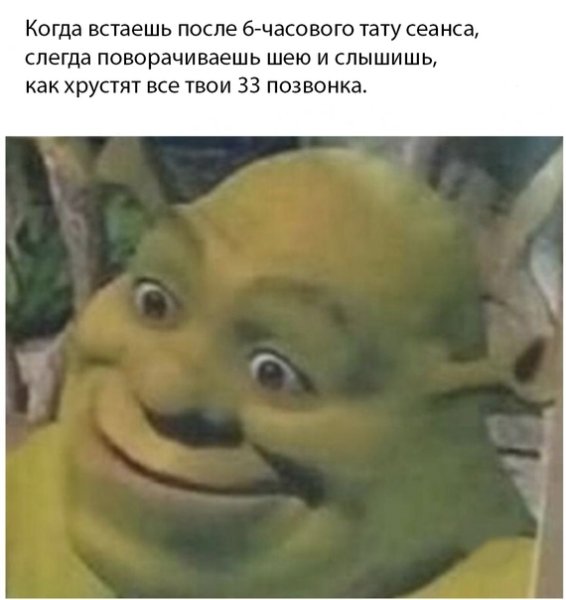 Шрек мемы