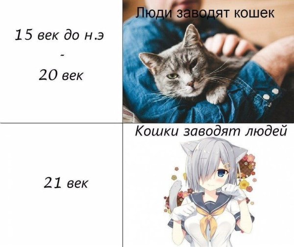 Аниме мемы смешные