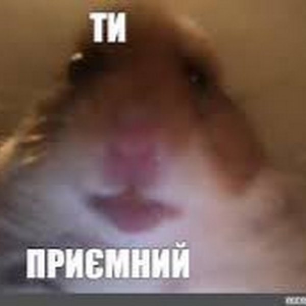 Хомяк Мем