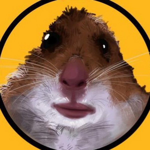 Аватарка хомяка