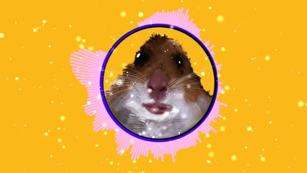 Хомяк из мема