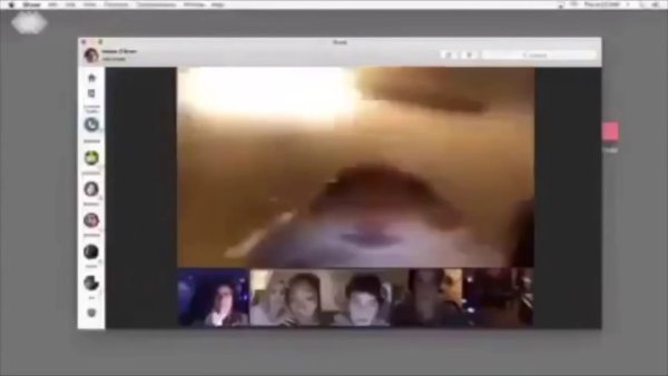 Хомяк видеосвязь