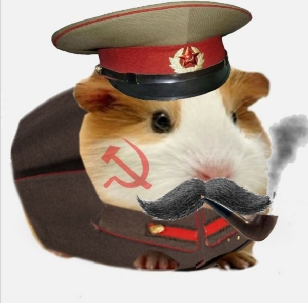 Хомяк в шапке ушанке