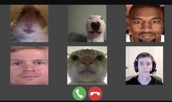 Смешные фото для мемов