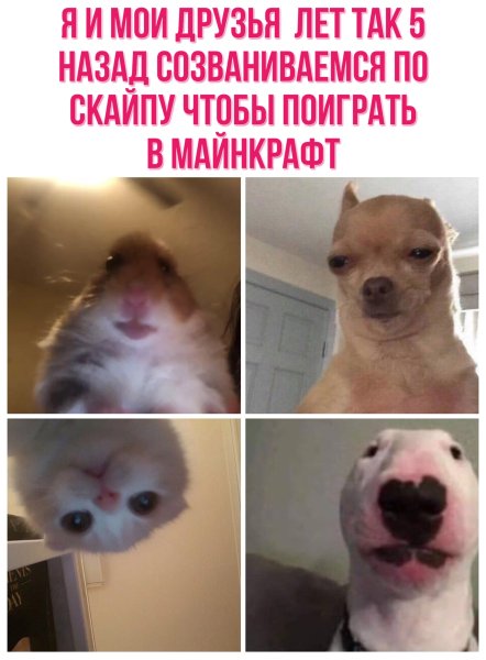 Смешные мемы