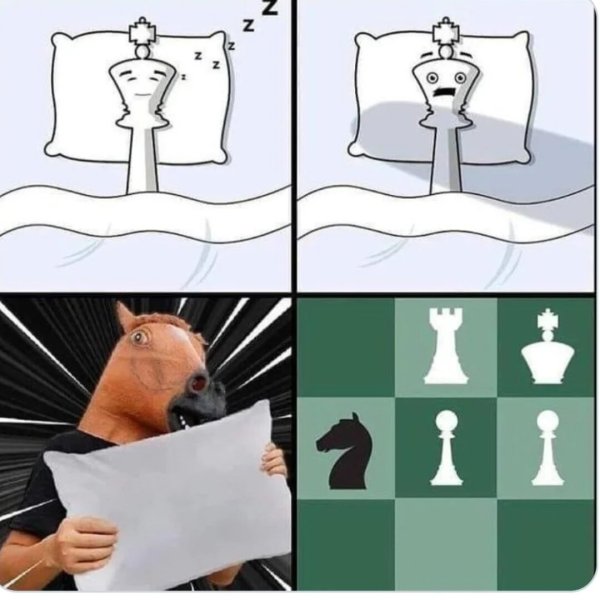 Шахматы прикол
