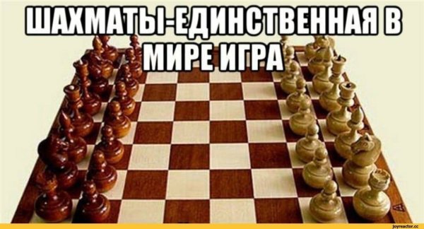 Шахматы юмор