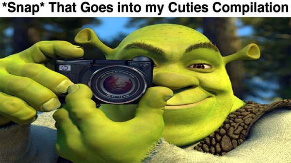 Шрек с фотоаппаратом Мем