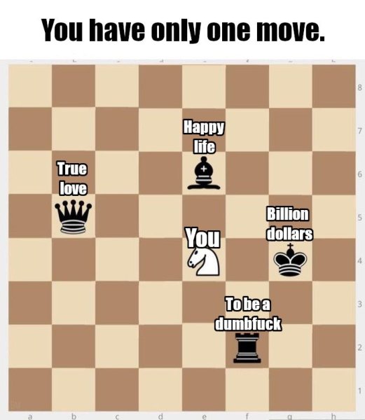 Шахматные шутки