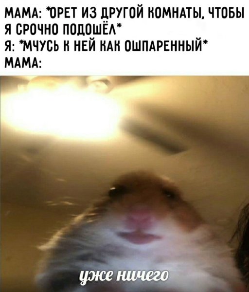 Хомяк из мема