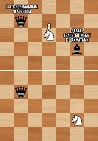 Смешные шутки про шахматы
