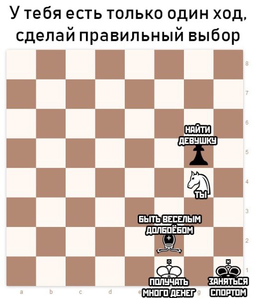 Шахматный конь Мем