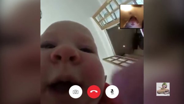 Хомяк FACETIME