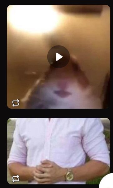 Мем хомяк по видеосвязи