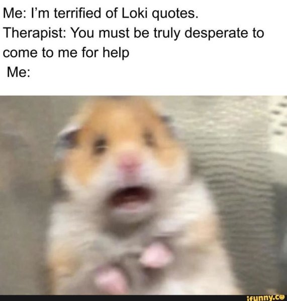 Хомяк испугался