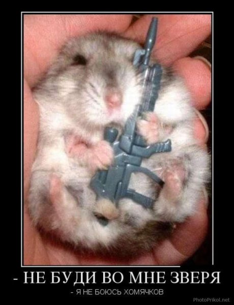 Не будите во мне зверя я хомячков не боюсь