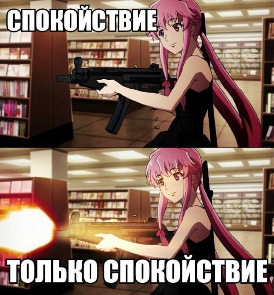 Дневник будущего Мем