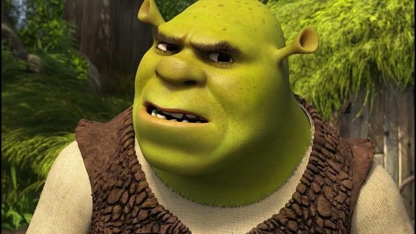 Шрек с факом