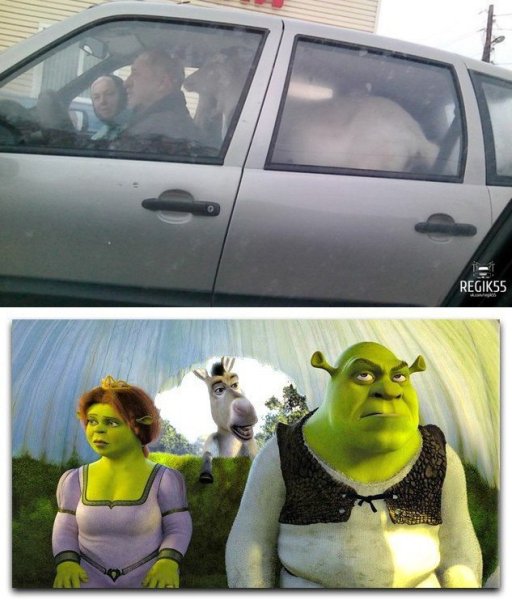 Уже приехали