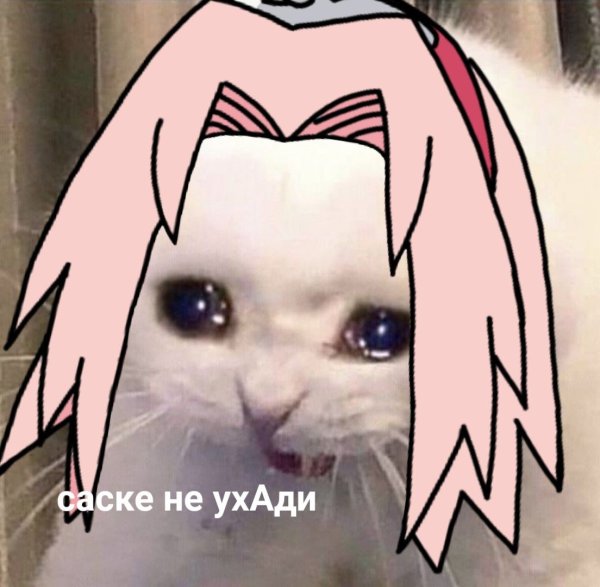 Коты из аниме Наруто