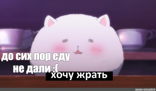 Няшные котики