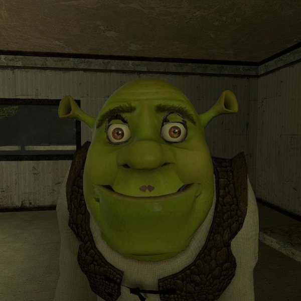 Дверь туалета Шрека