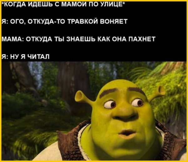 Фразы Шрека