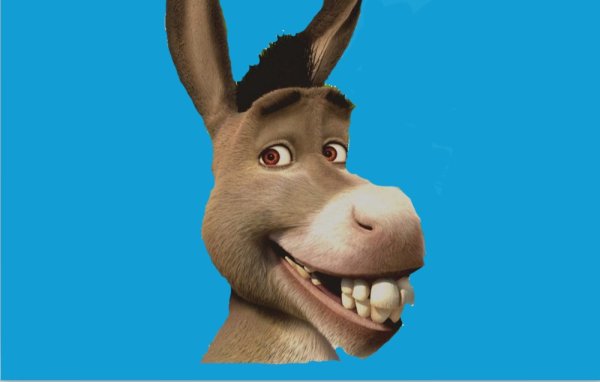 Осел из Шрека улыбается